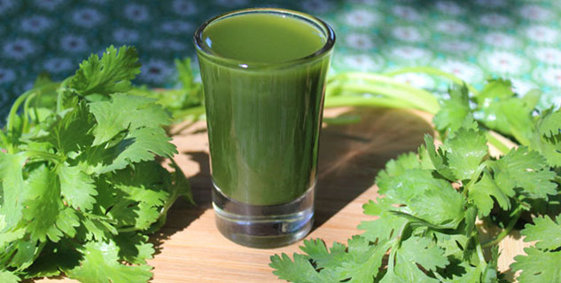 coriander use