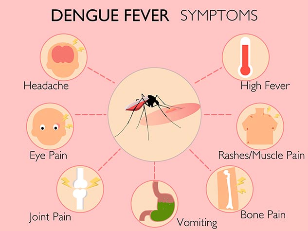 Know About 7 Warning Signs Of Dengue Fever From The Expert | OnlyMyHealth