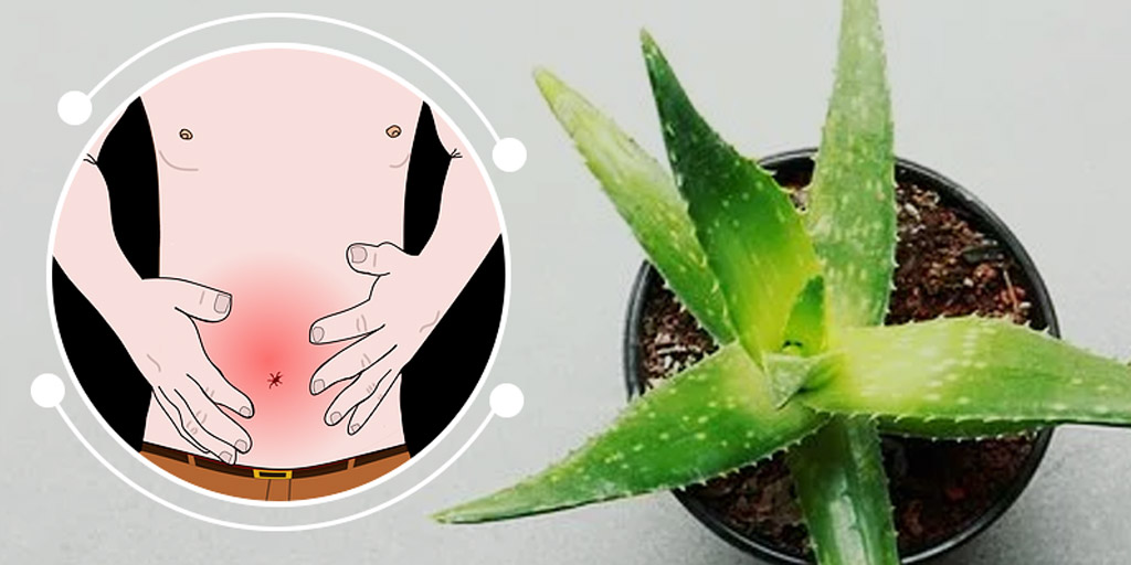 How to use Aloe vera for Stomach Problems in hindi पेट की परेशानियों