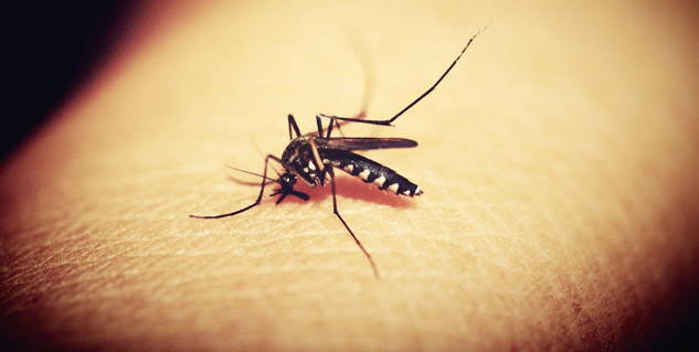 Malaria is caused by a parasite, which is spread by mosquito bite