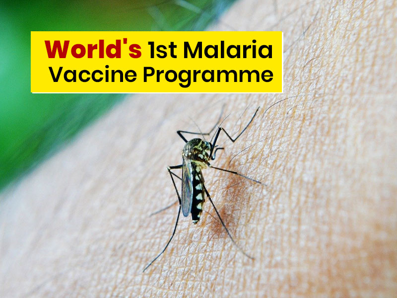 World Gets 1st Malaria Vaccine: All About The Immunisation Programme