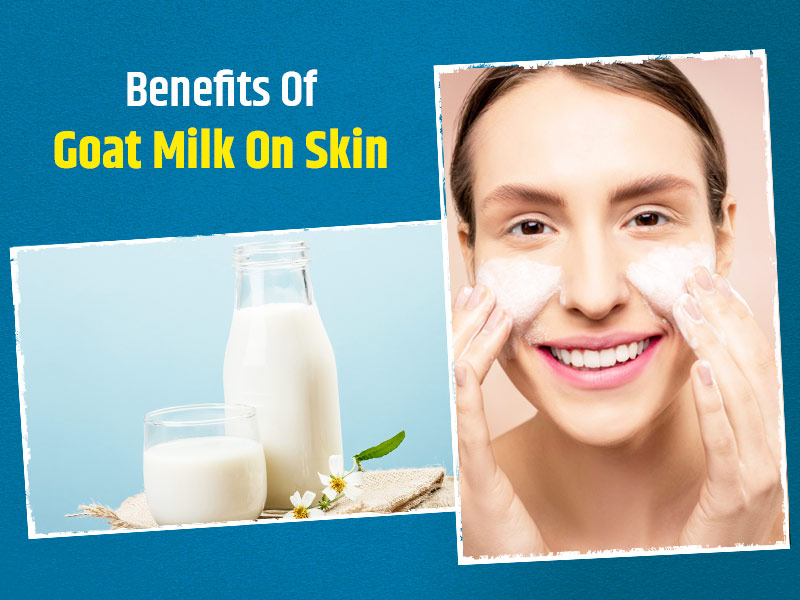 Having Skin Problems? Apply Goat Milk On Your Skin For These 6 Skin Benefits