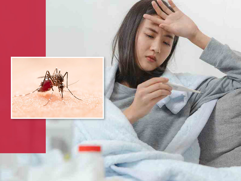 Dengue Fever Types & Symptoms: 3 तरह के होते हैं डेंगू बुखार, डॉक्टर से जानें इनके लक्षण और बचाव के उपाय