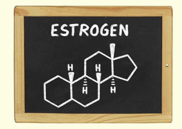 inside2estrogen