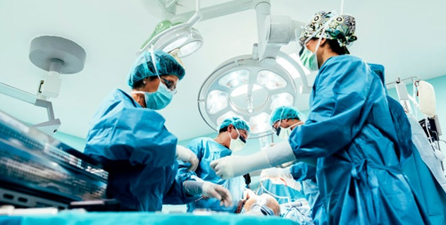 US surgeons successfully transplanted a pig's kidney into a human