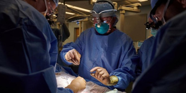 Insidepigkidneysurgery