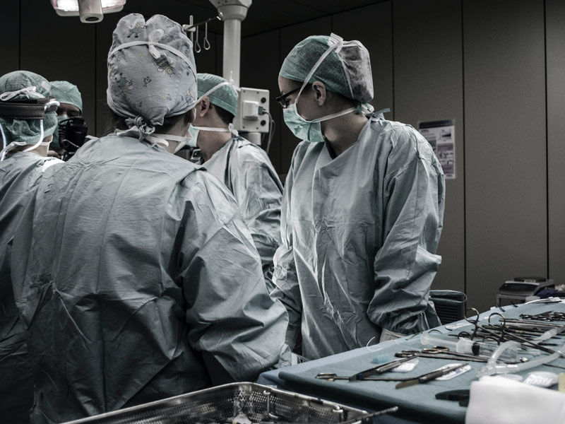 In A First, Pig's Kidney Successfully Attached To Human, Surgeon Calls It 'Potential Miracle'