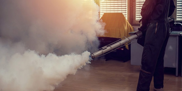 Zika virus infection can be prevented