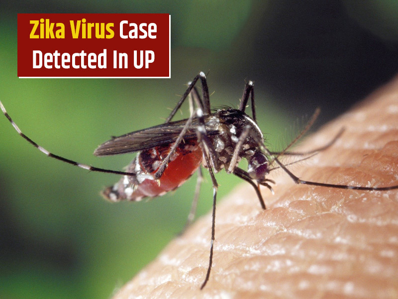 1st Zika Virus Case Of UP Recorded in Kanpur, IAF Officer Infected