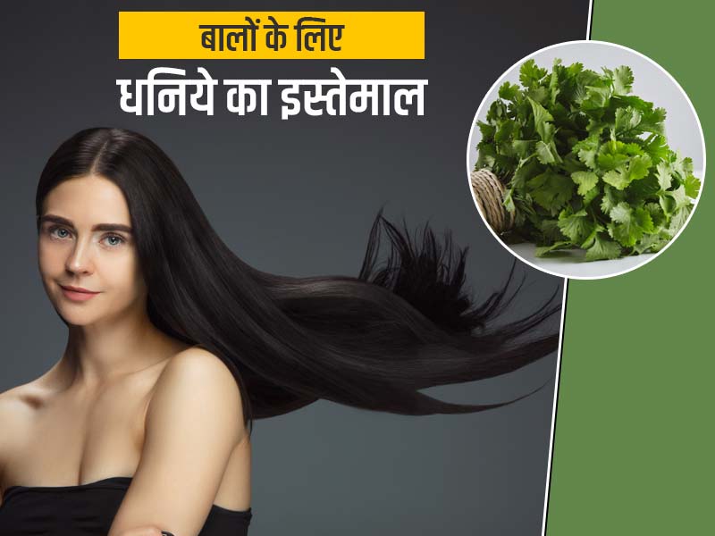 बालों के लिए धनिया की पत्तियां हैं बहुत फायदेमंद, जानें इसके इस्तेमाल के 4 तरीके 