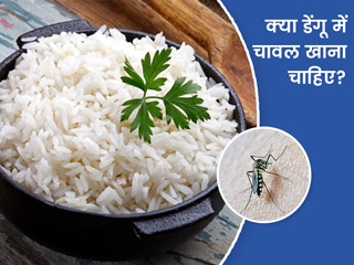 डेंगू में चावल खाना चाहिए या नहीं? एक्सपर्ट से जानें डेंगू में खानपान से जुड़े ऐसे 5 सवालों के जवाब