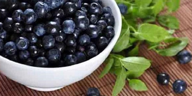 Jamun-To-Treat-Piles