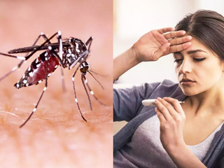क्या डेंगू संक्रामक रोग है? डॉक्टर से जानें डेंगू कैसे फैलता है