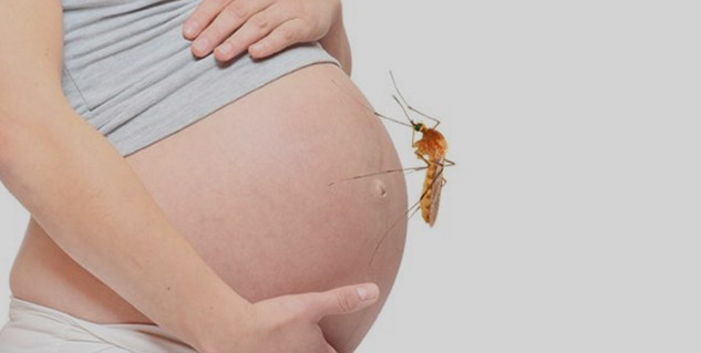 zika virus in pregnancy