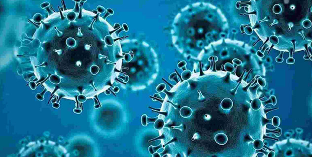 virus