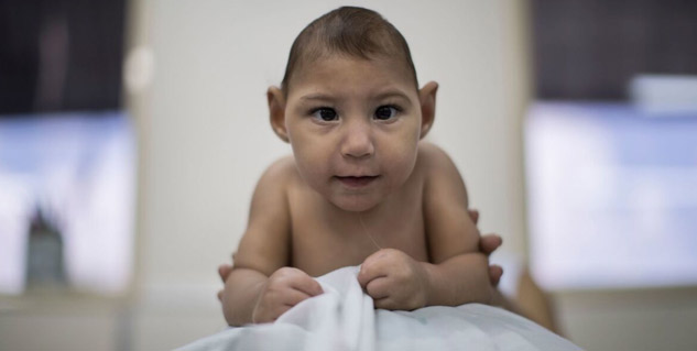 zika virus