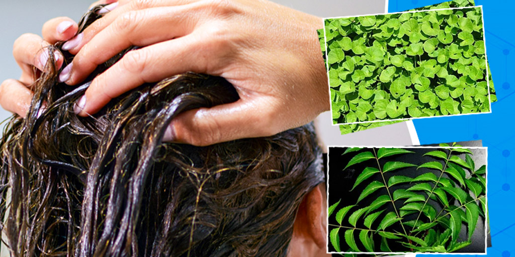 Ayurveda Hair Pack for Healthy and Shiny Hair in Hindi आयुर्वेदिक हेयरपैक से बालों की बढ़ाएं