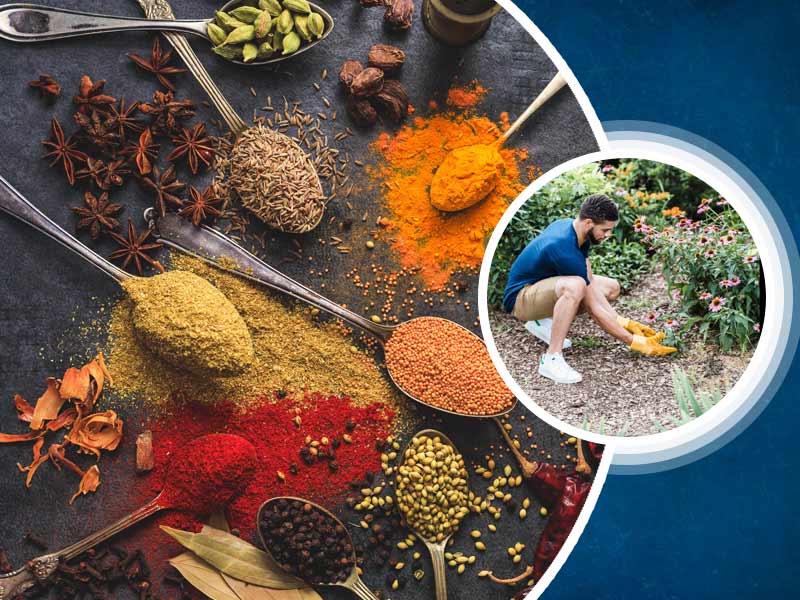 Do Spices Have An Expiry Date? Know Their Shelf Life And Tips To Make Spices Last Longer