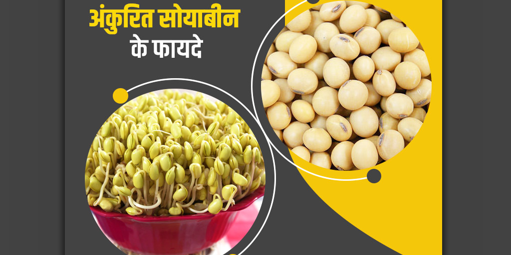 Health benefits of sprouted soybeans in hindi अंकुरित सोयाबीन खाने के