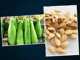 लौकी के बीज फेंकने के बजाय करें इस्तेमाल, जानें इसके 5 फायदे