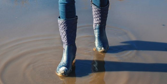 how to prevent leptospirosis