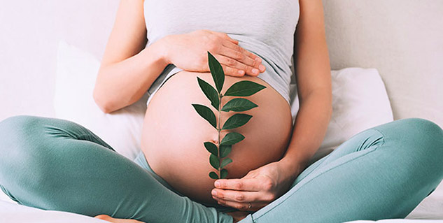 pregnancy and seeds
