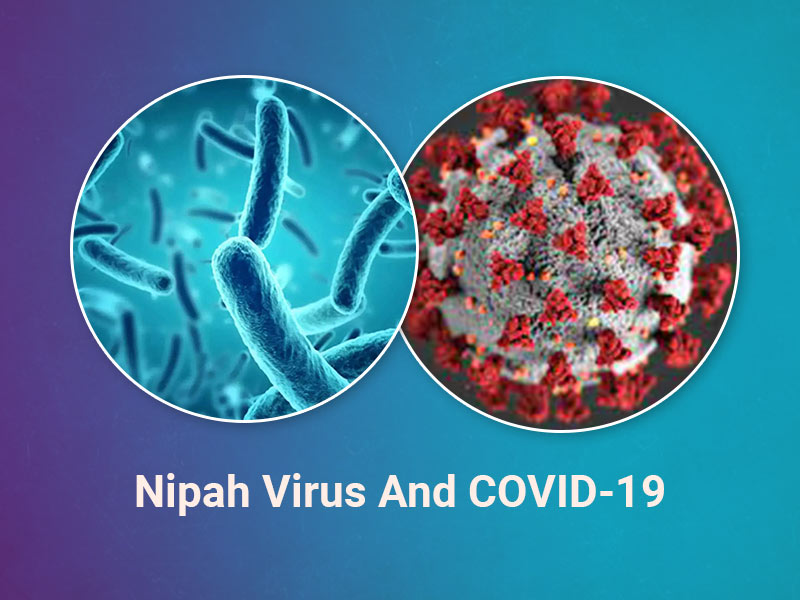 Nipah Virus And COVID-19: Is There A Connection? Know Symptoms, Cause, Diagnosis & Treatment