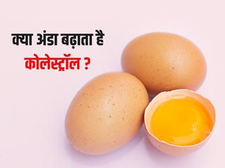 क्या अंडे का पीला भाग (जर्दी) वाकई बढ़ाता है कोलेस्ट्रॉल? डॉक्टर से जानें पूरी सच्चाई