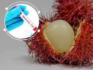 केरल में 'निपाह वायरस' फैलने का कारण हो सकता है रामबुतान फल, 8 मरीजों में दिखे लक्षण, भेजे गए सैंपल