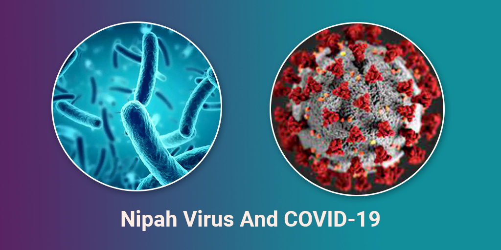 Nipah Virus And COVID-19: Is There A Connection? Know Symptoms, Cause ...