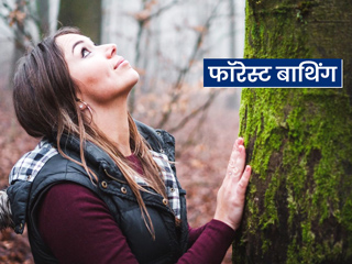 तनाव और मानसिक समस्याओं से जूझ रहे लोगों के लिए फायदेमंद है फॉरेस्ट बाथिंग (Forest Bathing), जानें इसके लाभ