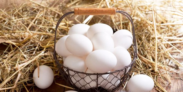 eating eggs