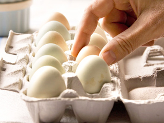 क्‍या पूरे द‍िन केवल अंडे खाए जा सकते हैं? डायटीश‍ियन से जानें ज्यादा अंडे खाने के नुकसान