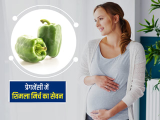 प्रेगनेंसी में शिमला मिर्च खाने के 4 फायदे, जानें कुछ सावधानियां और ज्यादा शिमला मिर्च खाने के नुकसान