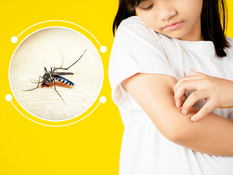 बच्चों में डेंगू से होने वाली समस्याएं दूर करने के लिए अपनाएं ये 5 घरेलू नुस्खे