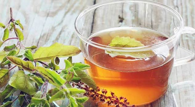 tulsi tea 