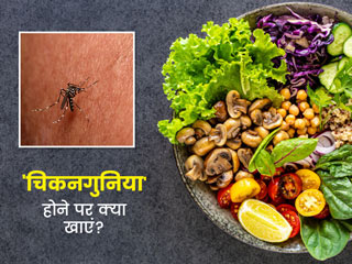 चिकनगुनिया होने पर इन 6 आहारों के सेवन से जल्द मिलेगा आराम, जानें इनसे मिलने वाले फायदे