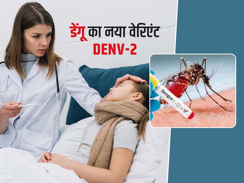 बहुत खतरनाक माना जा रहा है डेंगू का नया वेरिएंट DENV-2, जानें इसके बारे में
