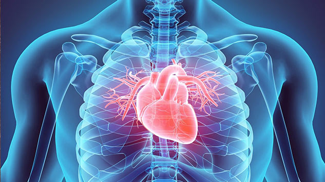 heart disease 