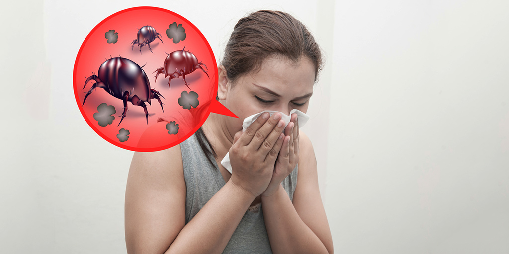 Dust Mite Allergy: Symptoms, Causes, Risk Factors And Complications ...