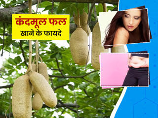 कंदमूल फल खाने के फायदे: जानें वजन घटाने से लेकर बालों को काला करने तक इसके 5 आयुर्वेदिक लाभ