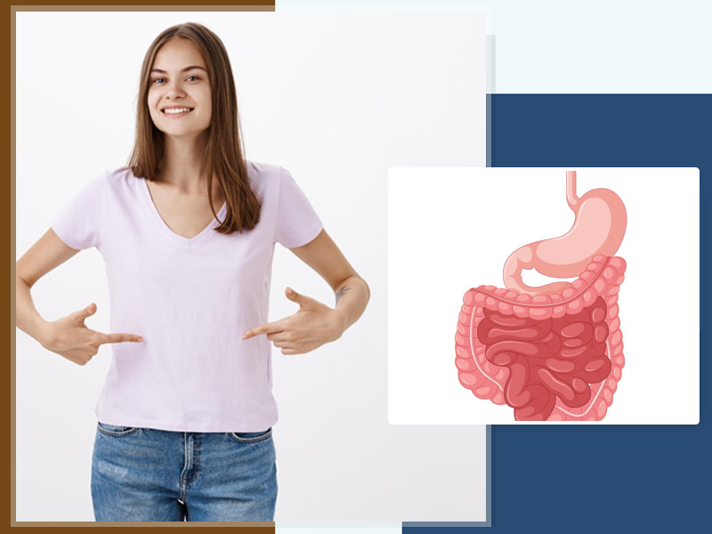 ये 7 बीमारियां पहुंचाती हैं आंतों के बैक्टीरिया को नुकसान, जानें सेहत के लिए क्यों जरूरी हैं गट बैक्टीरिया
