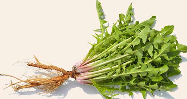 home-remedies-for-high-creatinine