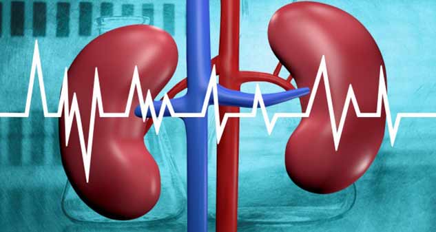 home-remedies-for-high-creatinine