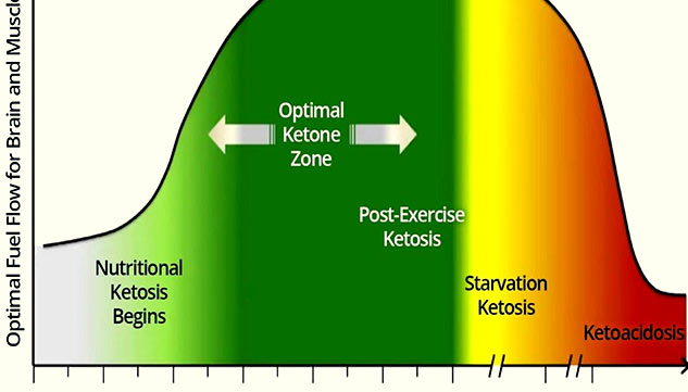 starvation-ketoacidosis-signs-causes-risk-factors-onlymyhealth