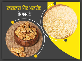 खसखस (पोस्ता दाना) और अखरोट का कॉम्बिनेशन है सेहत के लिए बहुत फायदेमंद, इन 2 तरीकों से करें सेवन