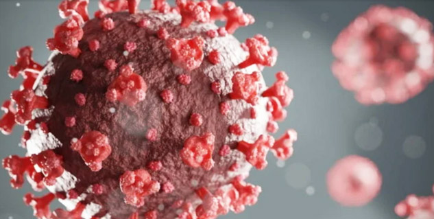 Coronavirus-XE-XD-XF-Variant