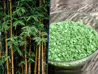 पुरुषों को बैम्बू राइस (बांस का चावल) खाने से मिलते हैं ये 5 बड़े फायदे, जानें खाने का तरीका