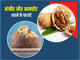 अंजीर और अखरोट साथ में खाने से सेहत को मिलते हैं ये 5 फायदे, जानें कैसे करें सेवन 