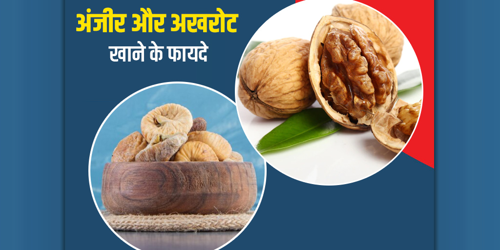 अंजीर और अखरोट खाने के फायदे Figs and Walnut health benefits in Hindi